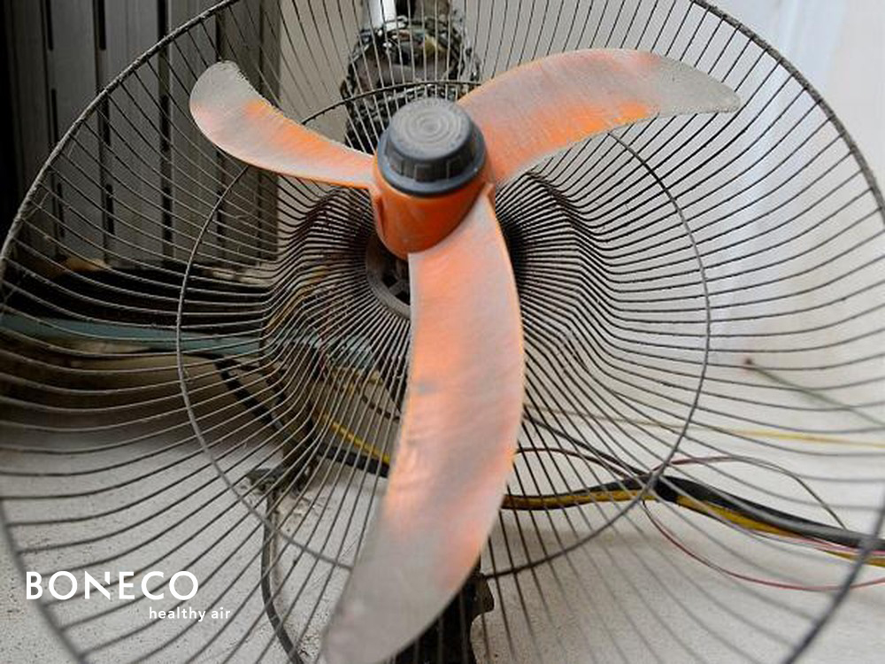 5 việc nhà nào cũng làm, tưởng tốt nhưng lại là nguyên nhân ô nhiễm, đau ốm triền miên