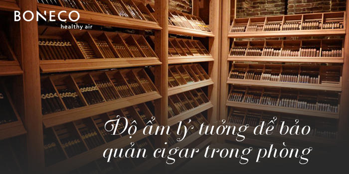 Những điều cần biết về độ ẩm tiêu chuẩn khi bảo quản cigar