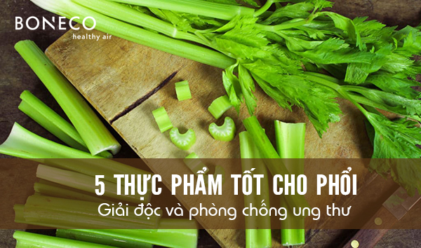 5 thực phẩm tốt cho phổi, giải độc và phòng chống ung thư