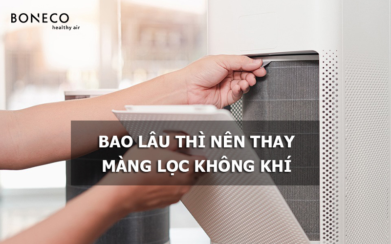Bao lâu thì phải thay màng lọc của máy lọc không khí?