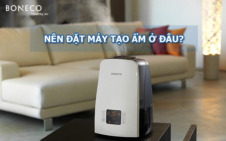 Nên Đặt Máy Tạo Độ Ẩm Ở Đâu? Bí Quyết Tối Ưu Cho Môi Trường Sống Khỏe Mạnh