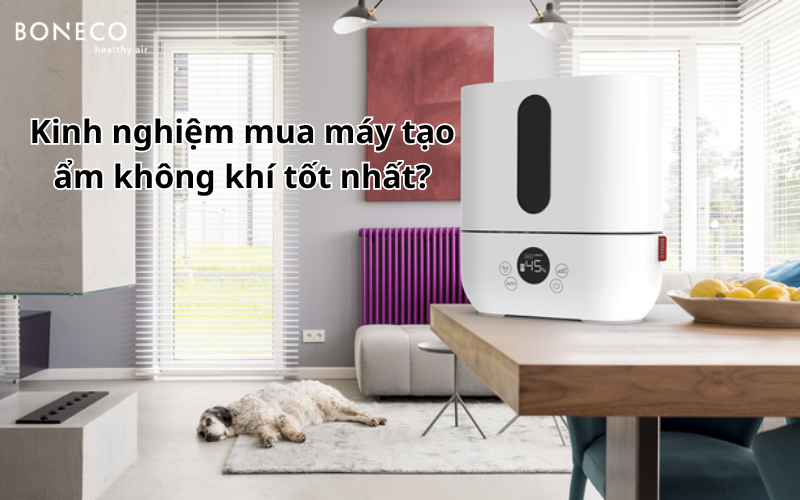 Kinh nghiệm mua máy tạo ẩm không khí tốt nhất? Nên mua loại nào?