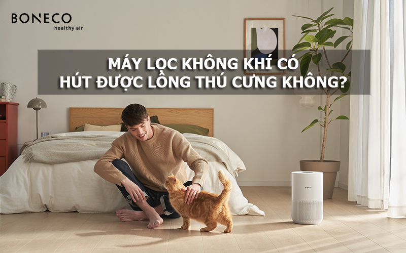 Máy lọc không khí có hút lông chó mèo được không?