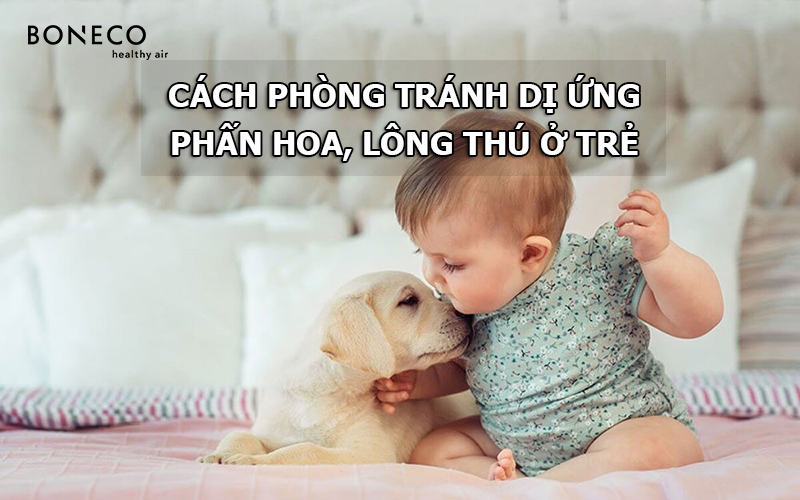 Làm sao để phòng ngừa dị ứng phấn hoa và lông thú ở trẻ em?