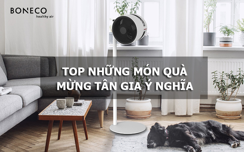 Top 8+ món quà mừng tân gia tinh tế và thiết thực