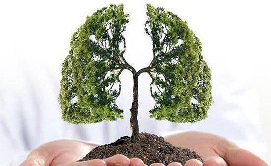 Ô nhiễm không khí trong nhà và lá phổi của chúng ta