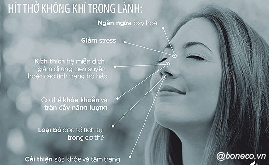 6 lợi ích sức khỏe của việc hít thở không khí sạch