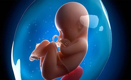 Tác hại của Ô nhiễm không khí đối với Thai Nhi, Mẹ bầu