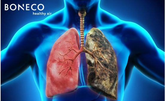 Không hút thuốc lá mà vẫn bị ung thư phổi, chuyên gia xác nhận đây chính là "thủ phạm"