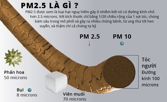 “Sát thủ” trong không khí ở Hà Nội và TPHCM gây ung thư và đột biến gene